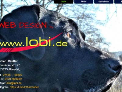 Lobi macht tolle Websites, individuell + günstig